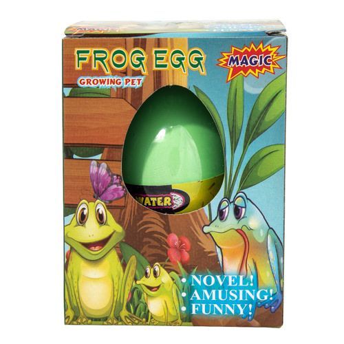 Green egg-shaped toy with frog illustrations on a colorful box